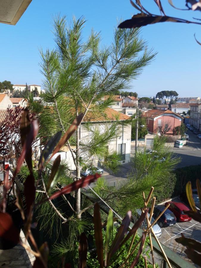 Chambre d'hôtes Zen&Appartement Zen Marseille Marselha Exterior foto